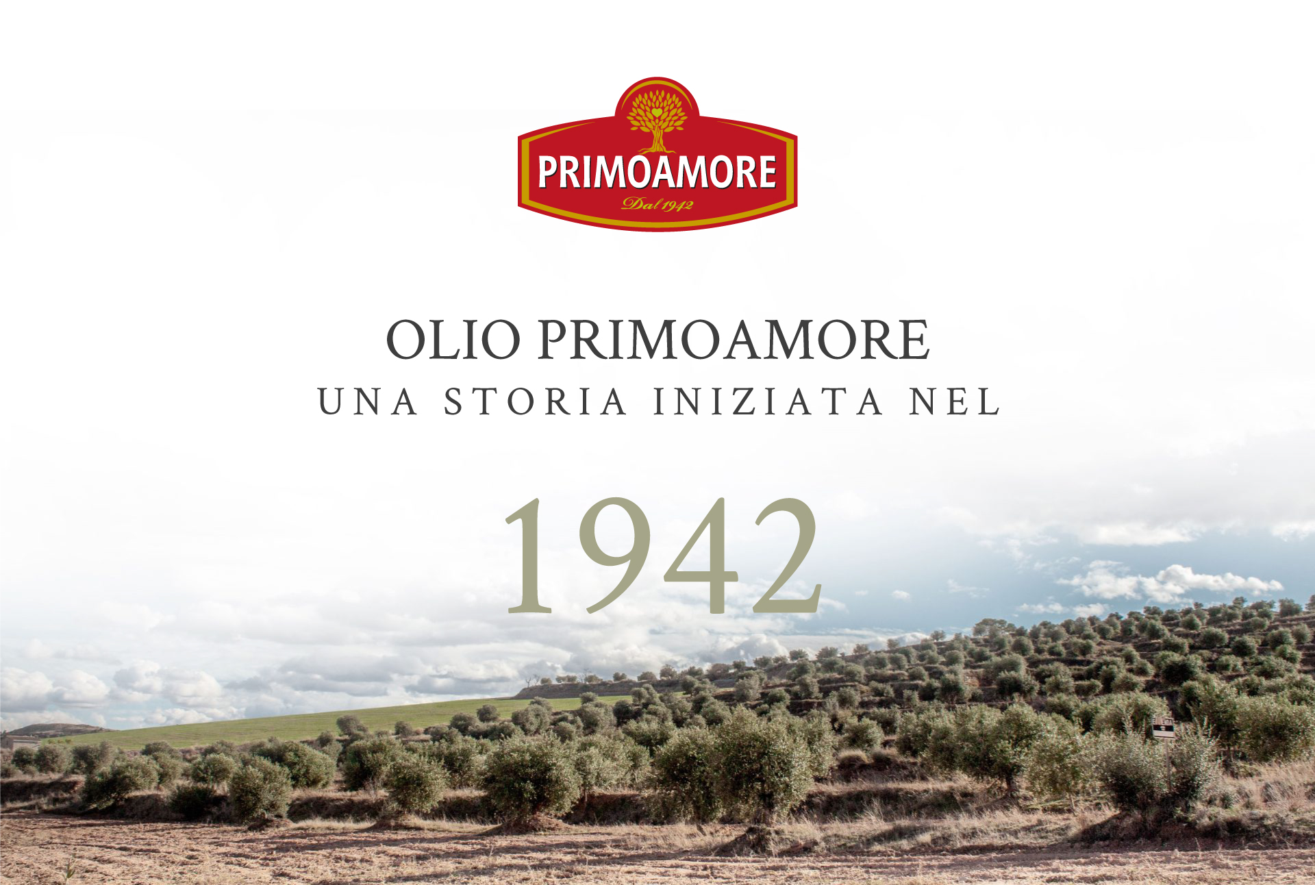 Olio PrimoAmore: una storia iniziata nel 1942, sul paesaggio degli uliveti siciliani