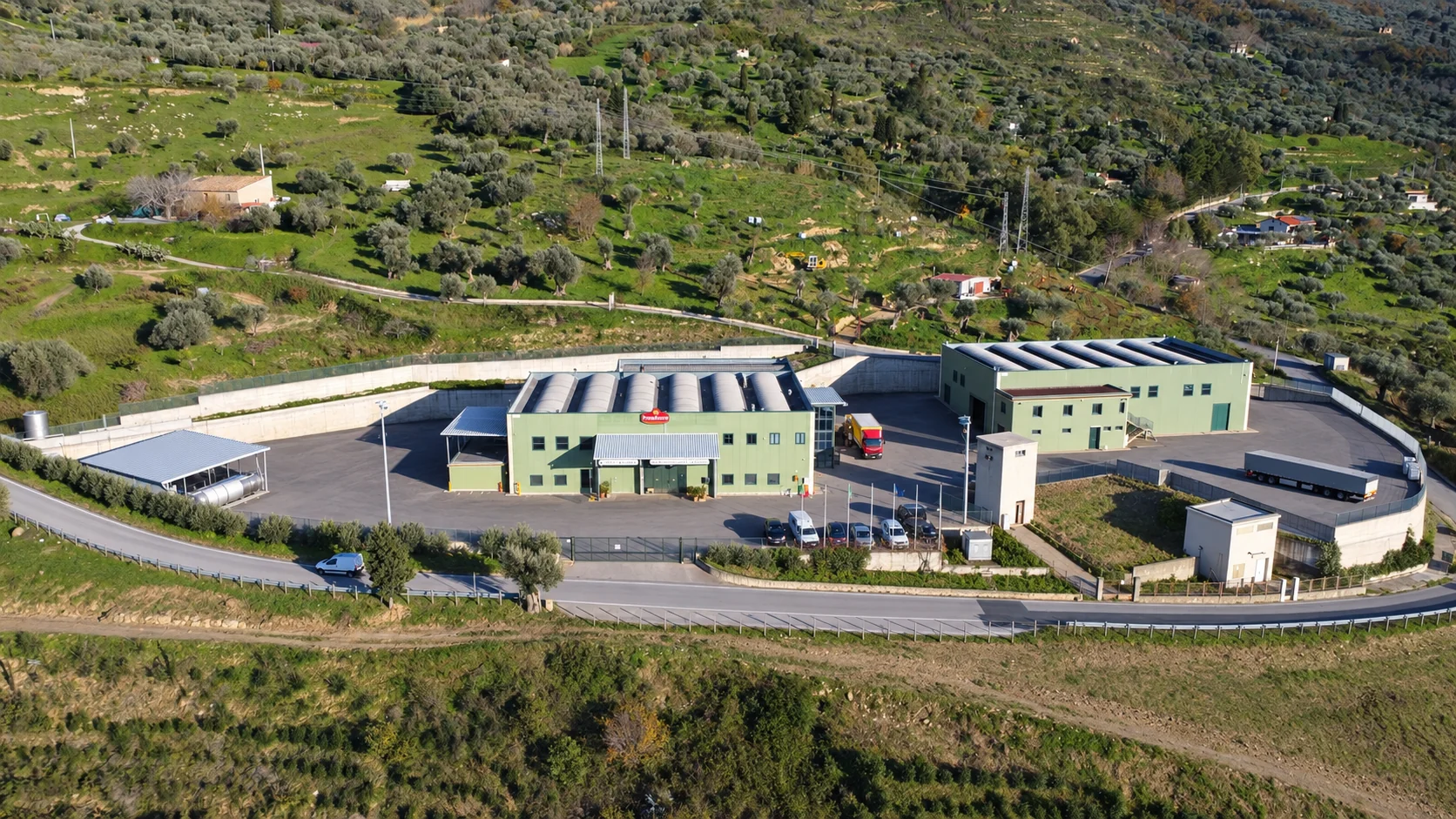 Vista completa dello stabilimento PrimoAmore e degli uliveti circostanti