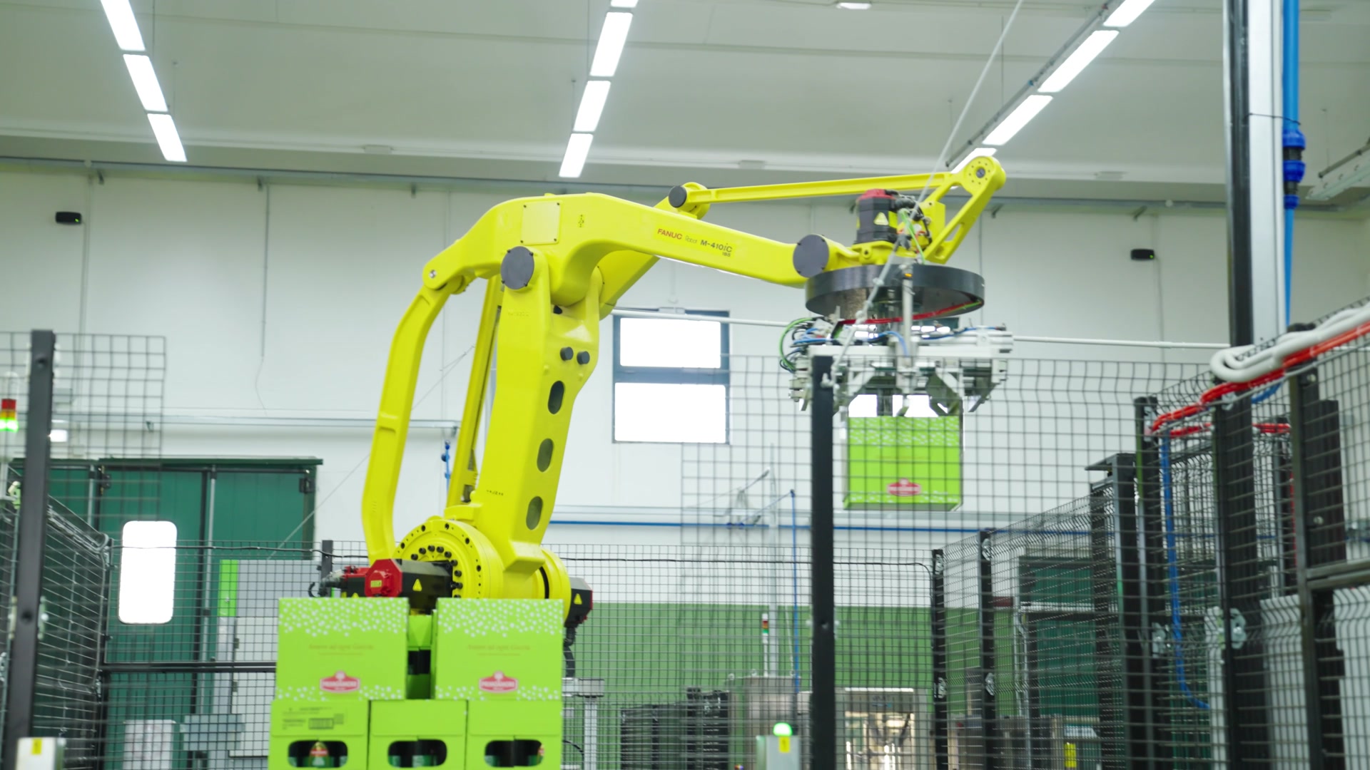 Il robot di confezionamento movimenta le scatole verdi PrimoAmore